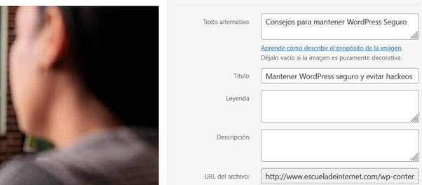 SEO para principiantes: lo básico que sí o sí debe tener tu web para gustarle a Google