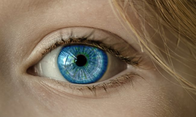 Buscar lo visual Optimizar las imágenes