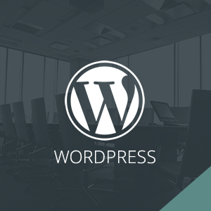 Nuestros Webinars