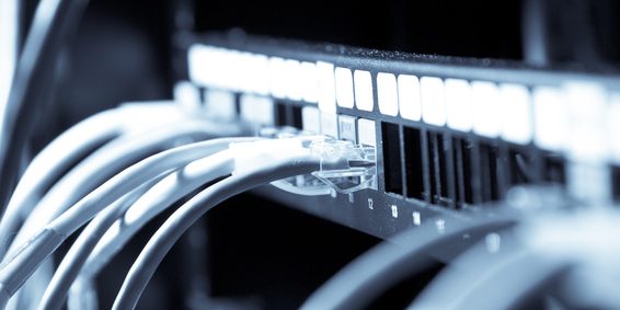 A shot of network cables connected to switches in a data center