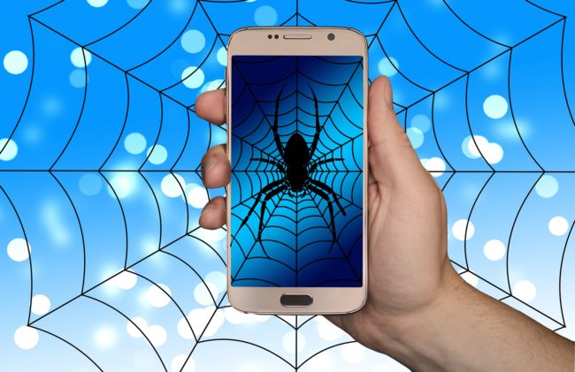 araña_google