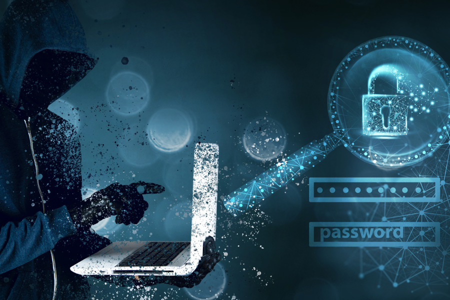 Protegiendo tus datos personales en el océano digital: Una guía completa