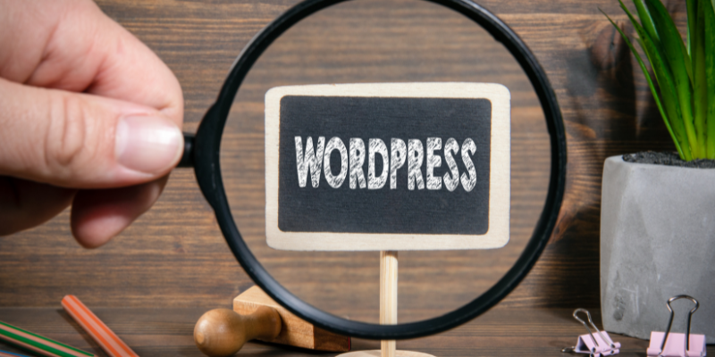 optimizar_plugins_wordpress