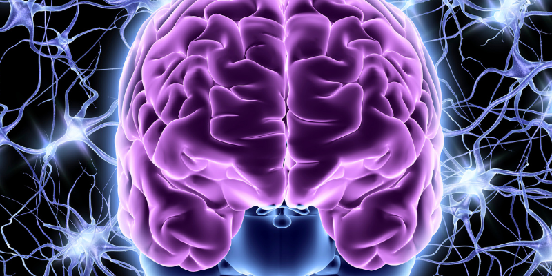 neural_engine
