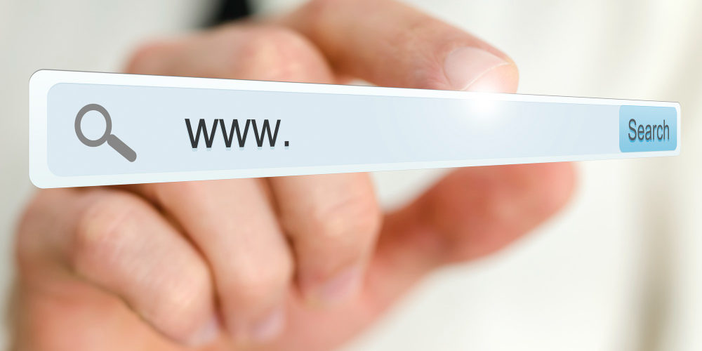 que es un dominio .net